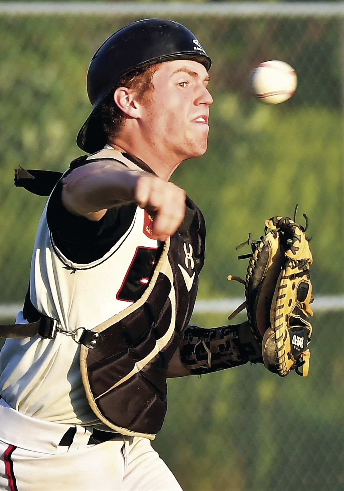 Collin Arneson